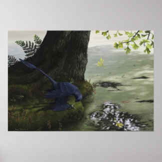 Póster Microraptor Piscivory Print