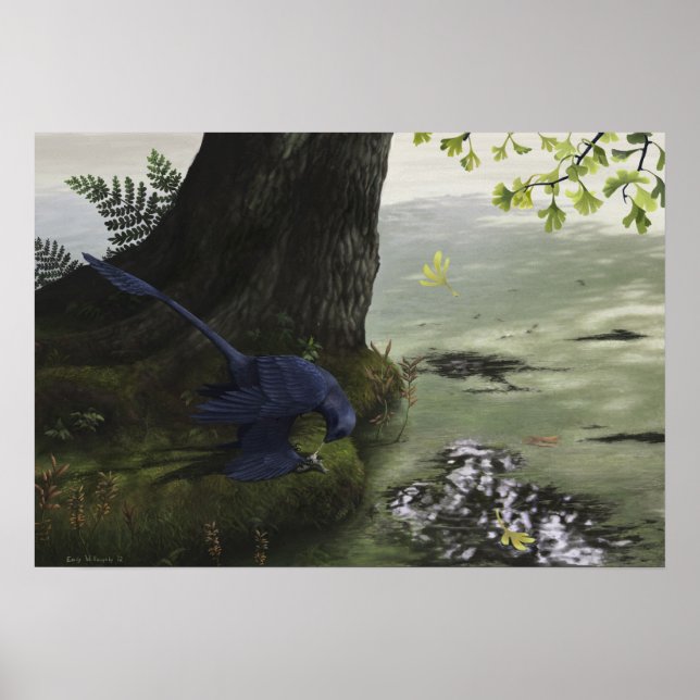 Póster Microraptor Piscivory Print (Frente)