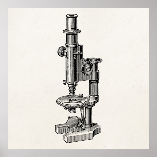 Póster Microscopios antiguos microscopio científico antig (Frente)