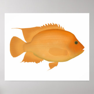 Póster Midas