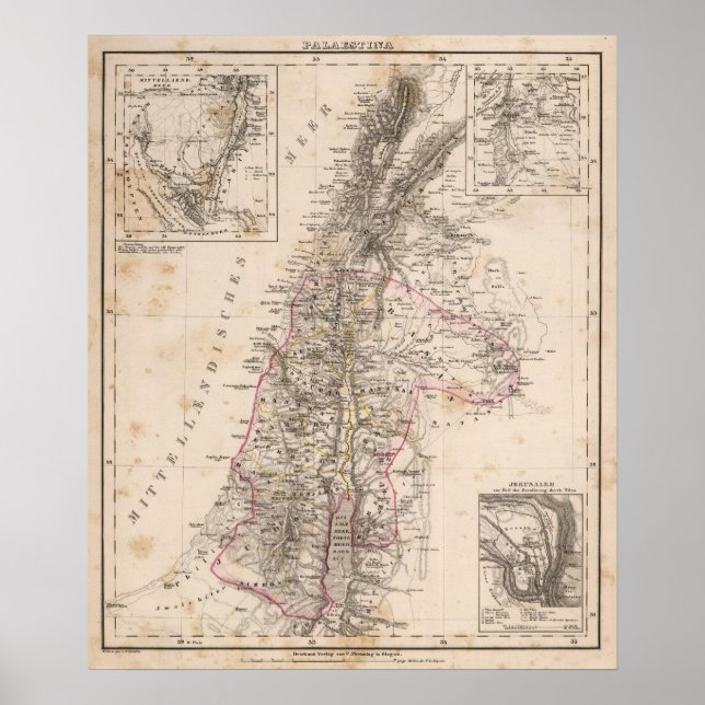 Póster Middle East, Palestine (Frente)