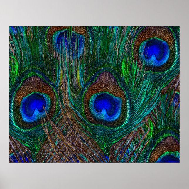 Póster Midnight Peacock Feathers Etching Style Decor (Frente)