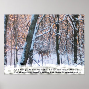 Póster Mientras los ciervos se preparan para el agua...