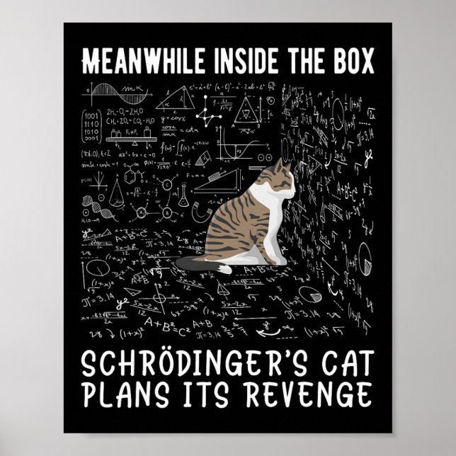 Póster Mientras Tanto Dentro De La Caja El Gato Schröding (Frente)