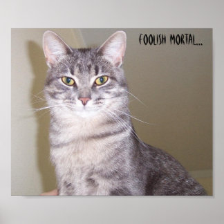 Póster Mighty Feline, mortal tonta...