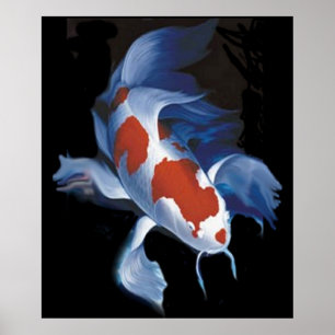 Póster Mighty Koi
