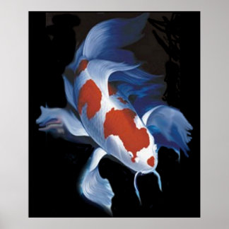 Póster Mighty Koi