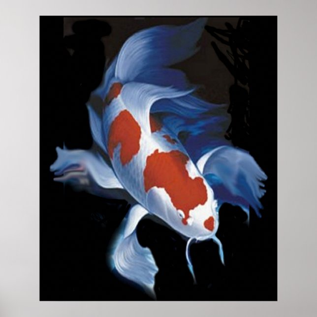 Póster Mighty Koi (Frente)