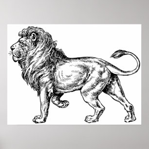 Póster Mighty Lion Sketch