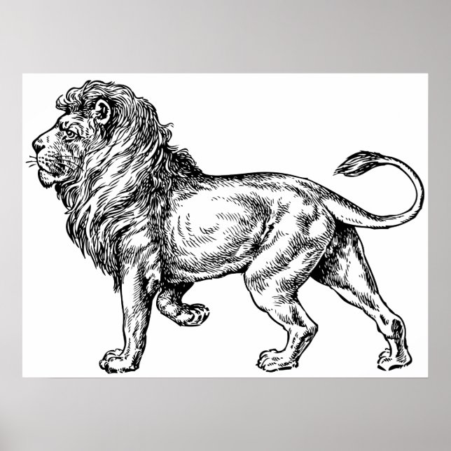 Póster Mighty Lion Sketch (Frente)