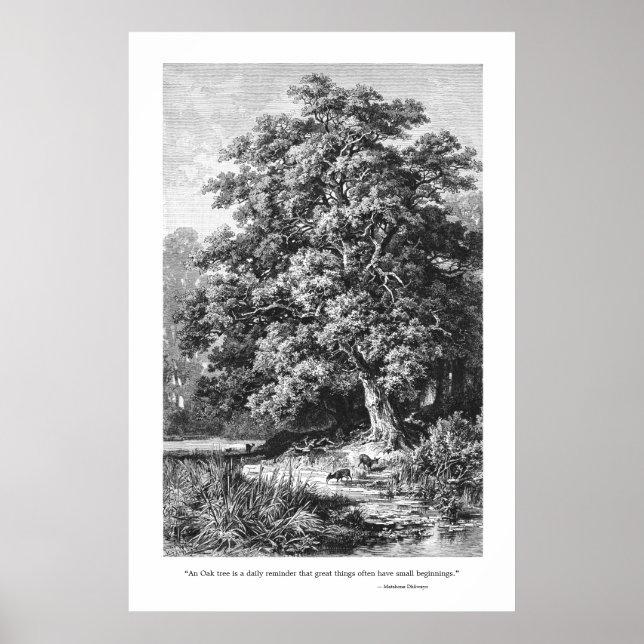 Póster Mighty Oak Tree Inspirational Black & White Poster (Frente)