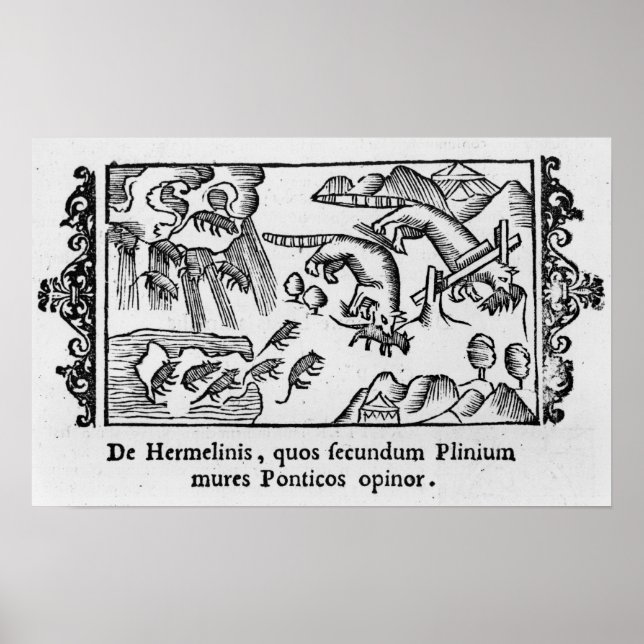 Póster Migración de lemmings (Frente)