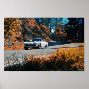 Póster Mil・ dowhill (La carrera mexicana)