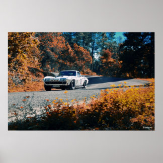 Póster Mil・ dowhill (La carrera mexicana)