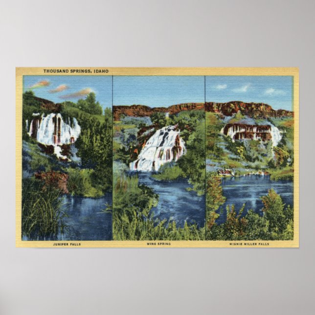 Póster Mil manantiales, ID - Juniper, Wing y Minnie (Frente)