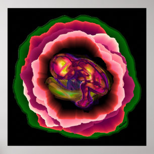 Póster Milagro de la vida