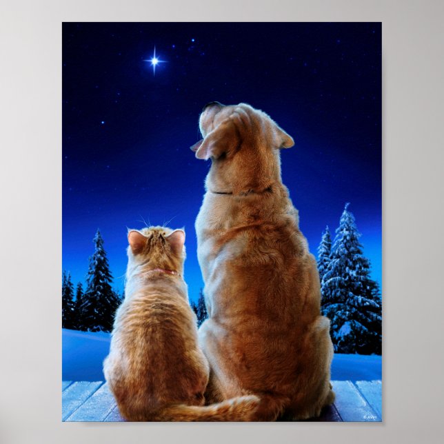 Póster Milagro de Navidades de gatos y perros (Frente)