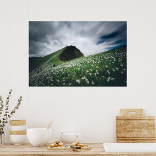 Póster Miles de narcisos en Golica, Eslovenia