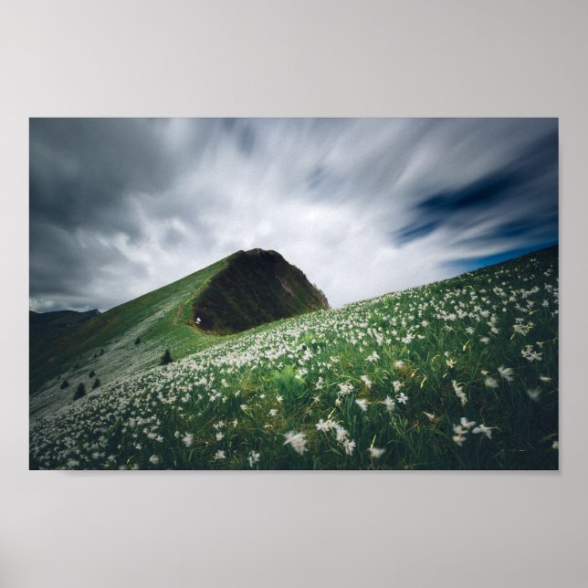 Póster Miles de narcisos en Golica, Eslovenia (Frente)