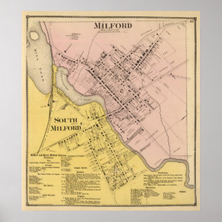 Póster Milford, Milford del Sur
