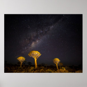 Póster Milky Way Quiver Tree Keetmanshoop Namibia