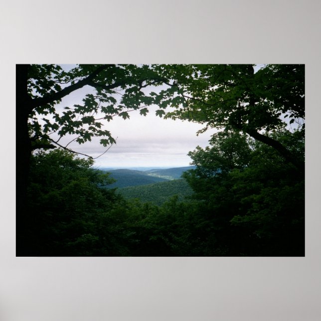 Póster Mill Brook Ridge Vista (Frente)