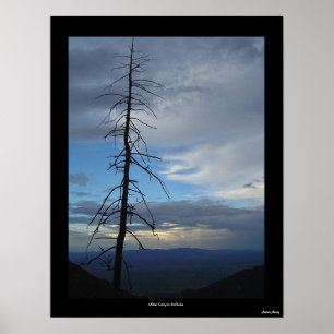 Póster Miller Canyon Solitude