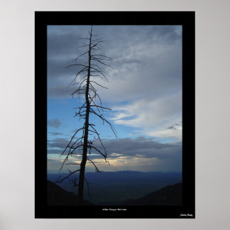 Póster Miller Canyon Solitude