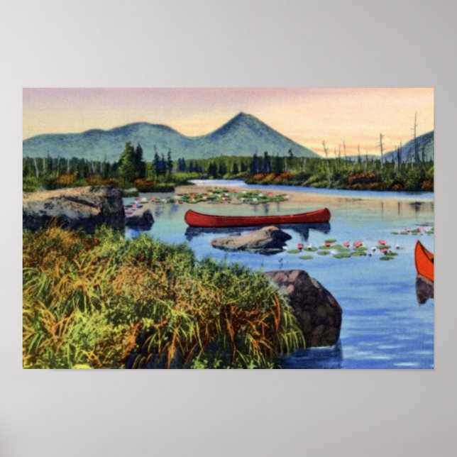 Póster Millinocket Maine Little Nesowadnehunk Lake Lily P (Frente)