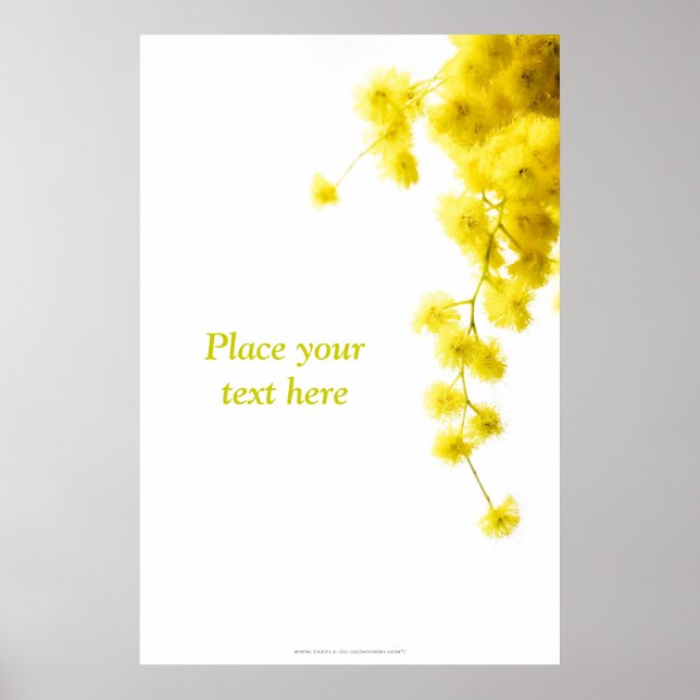 Póster Mimosa (Frente)