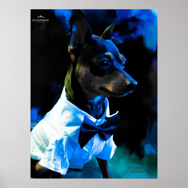 Póster MIn Pin en azul (Frente)