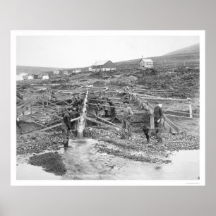 Póster Mina de oro Anvil Creek Alaska 1916