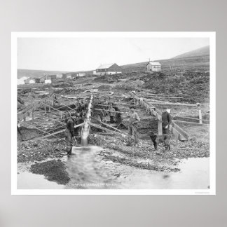 Póster Mina de oro Anvil Creek Alaska 1916