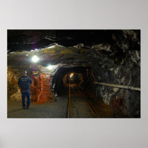 Póster Mina pionera