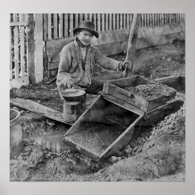 Póster MINERÍA DE ORO con CAJA DE ROCKER c. 1866 (Frente)