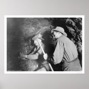 Póster Mineros Alaska 1916 del heavy