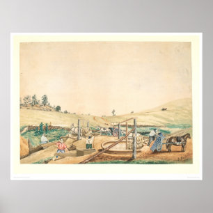 Póster Mineros de California que trabajan un Arrastra