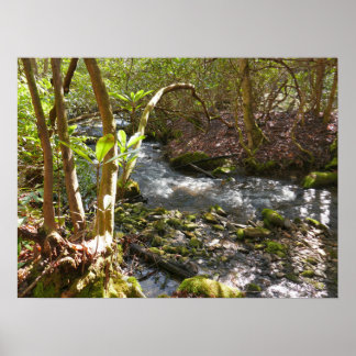 Póster Mingus Creek en Smoky Mountains