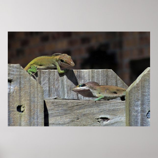 Póster Mini Batalla de Dragones (Frente)