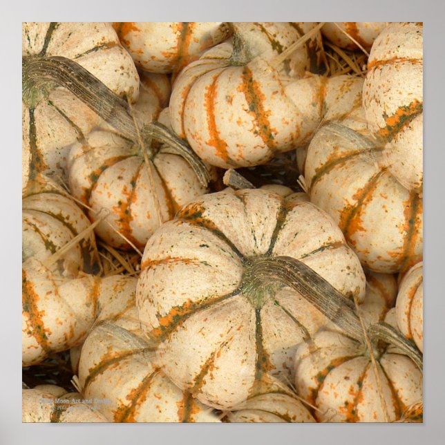 Póster Mini Calabazas Blancas Con Acentos Naranjas Y Verd (Frente)