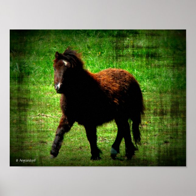 Póster Mini Filly (Frente)