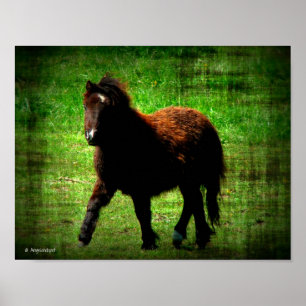 Póster Mini Filly