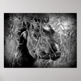 Póster Mini Filly Being Onery