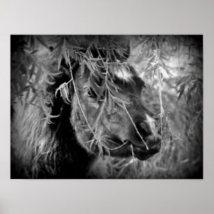 Póster Mini Filly Being Onery