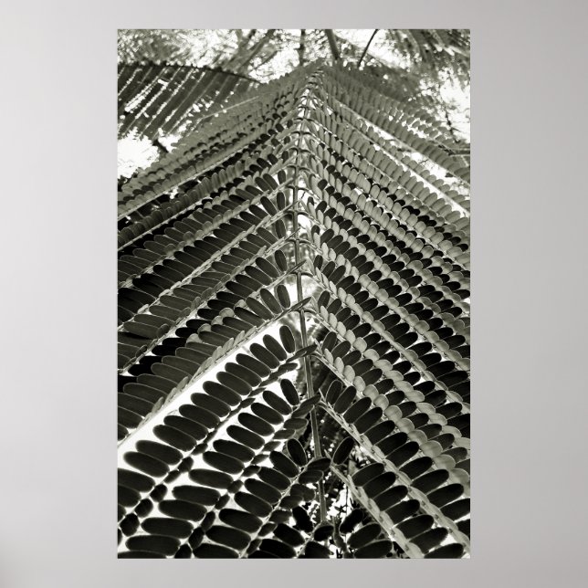 Póster mini folhas (Frente)