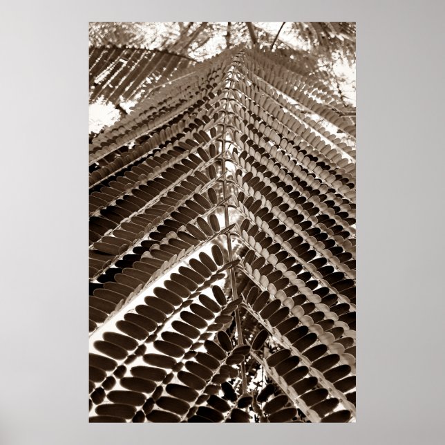 Póster mini folhas - old (Frente)