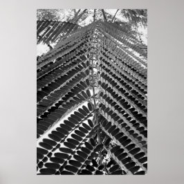 Póster mini folhas - P&B