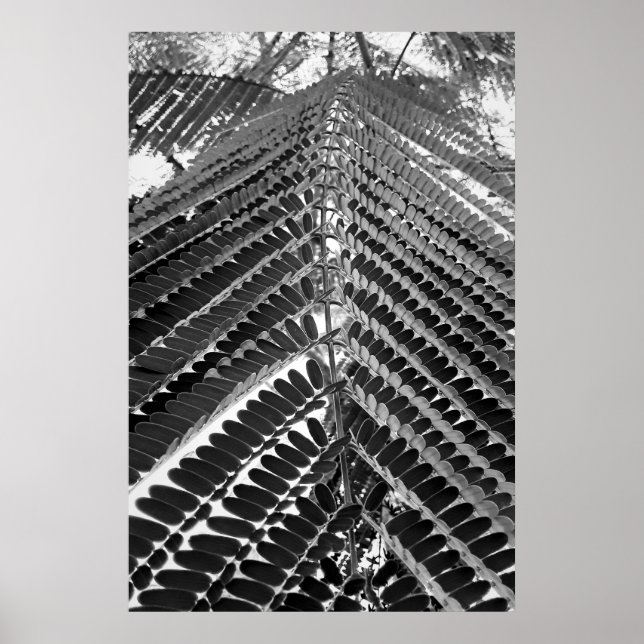 Póster mini folhas - P&B (Frente)