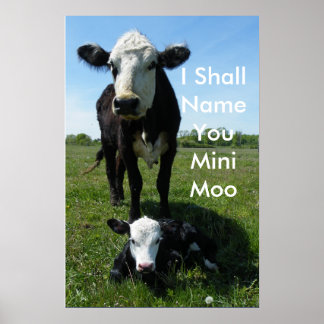 Póster Mini-Moo