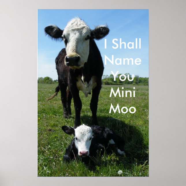 Póster Mini-Moo (Frente)
